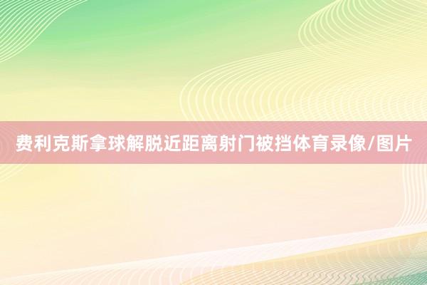 费利克斯拿球解脱近距离射门被挡体育录像/图片