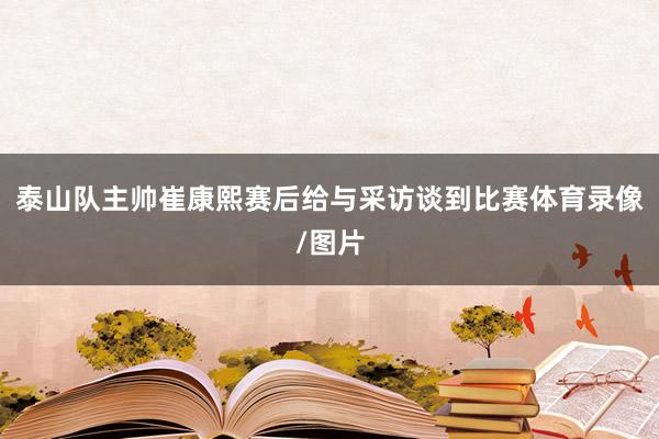 泰山队主帅崔康熙赛后给与采访谈到比赛体育录像/图片