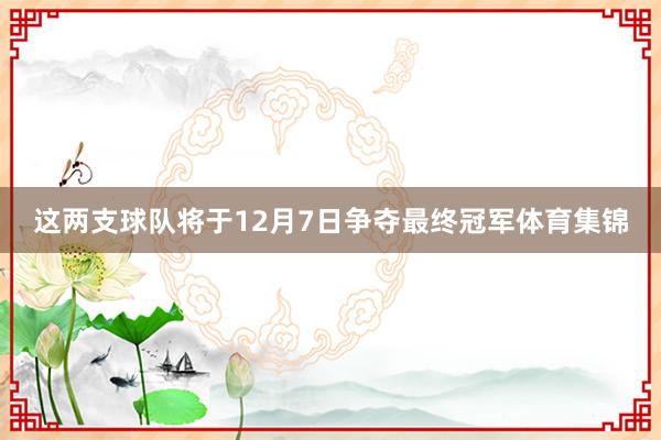 这两支球队将于12月7日争夺最终冠军体育集锦