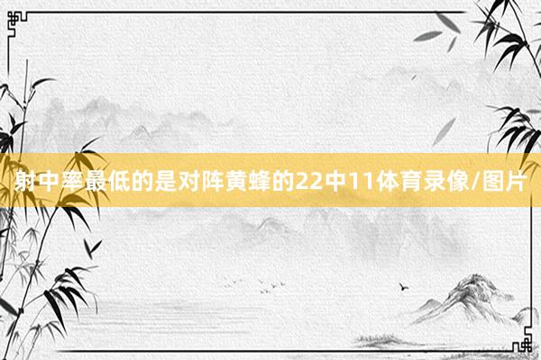 射中率最低的是对阵黄蜂的22中11体育录像/图片