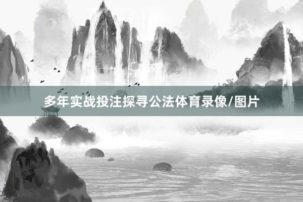 多年实战投注探寻公法体育录像/图片