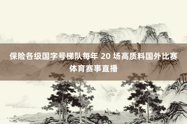 保险各级国字号梯队每年 20 场高质料国外比赛体育赛事直播