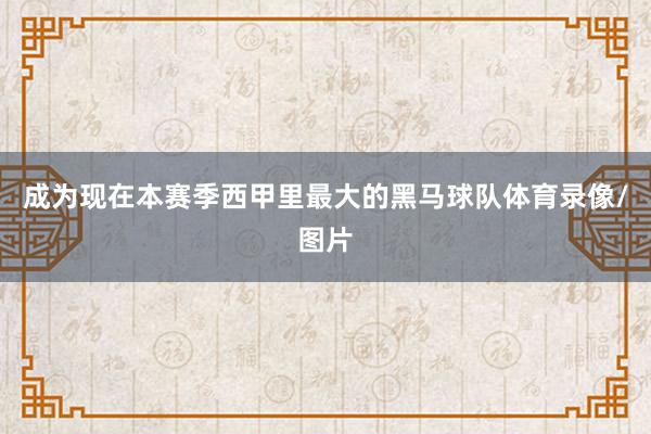 成为现在本赛季西甲里最大的黑马球队体育录像/图片