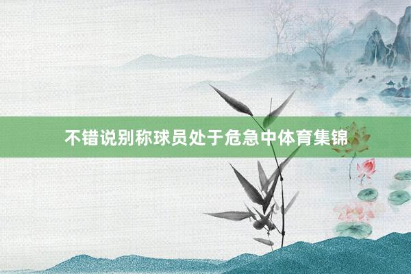 不错说别称球员处于危急中体育集锦